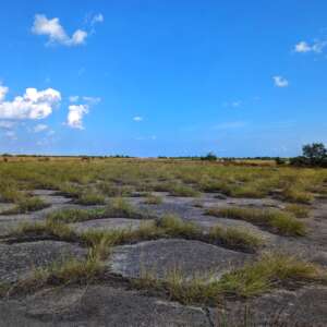 Beton und Grass auf einem verlassenen Militärflugplatz